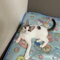 性格良しの４兄弟⭐︎