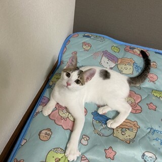 性格良しの４兄弟⭐︎