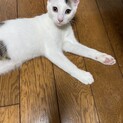 性格良しの４兄弟です⭐︎