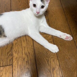 性格良しの４兄弟です⭐︎