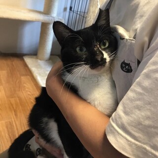 スリスリゴロゴロ甘えん坊♡しーちゃん