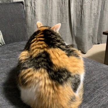 の写真