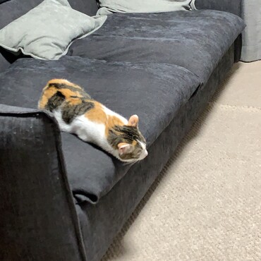 の写真