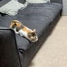 の写真