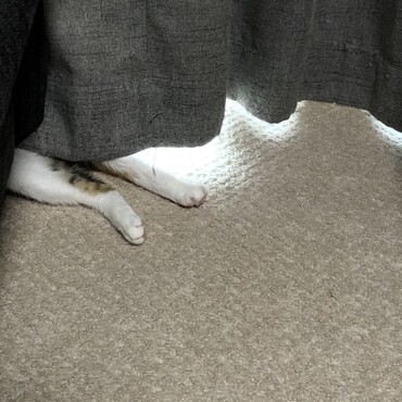 の写真