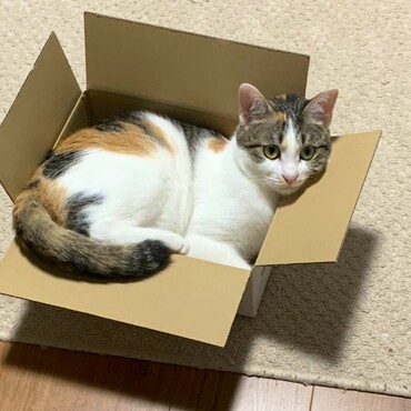 の写真