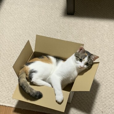 の写真
