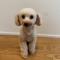 穏やかで優しい男の子　潤くん