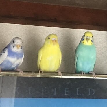 の写真
