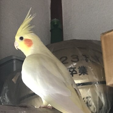 の写真