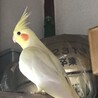 の写真