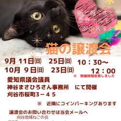 刈谷地域ねこの会　譲渡会
