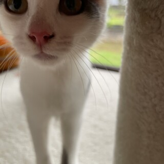 天真爛漫なププちゃん