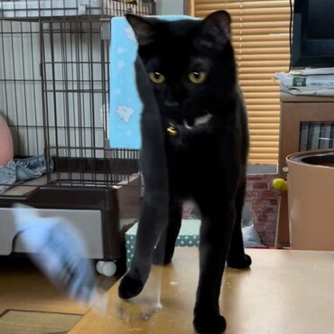 の写真