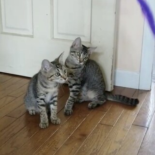 のの君＆ももちゃん♪