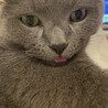 りなこっつ