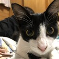 大切に大切に育ててくれる方募集中