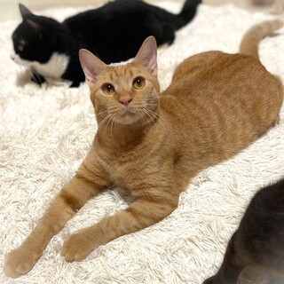 のんびりおっとりさん