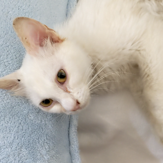 人が大好き甘えん坊な男の子