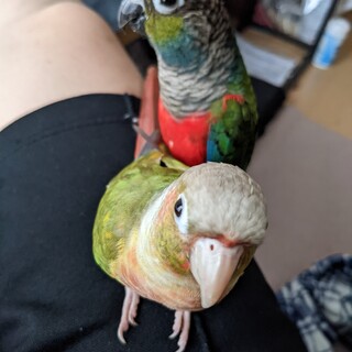 ご応募いただいた皆様ありがとうございました。