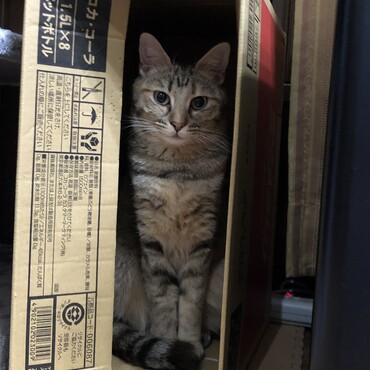 の写真