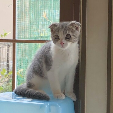 の写真