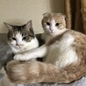 の写真