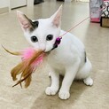 甘えたボーイに太君です。