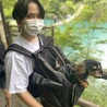 なかまるしんご