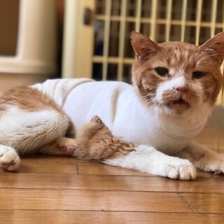 事故であごの神経が麻痺・・食事の介護が必要です