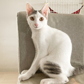 仲良し３兄妹の女の子