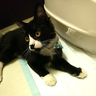 靴下が可愛い♡ジェリーくん(4ヶ月)