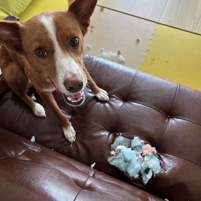 みかたす8のカバー写真