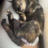 ヨナ#