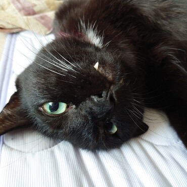 2022/09/12 くろずさん