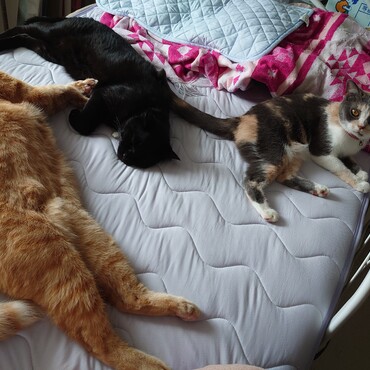 兄ちゃんずと仲良くなりました。