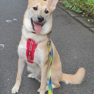 「レフト」男の子