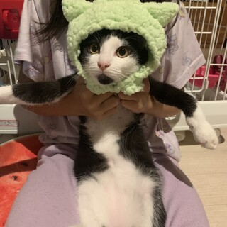 僕の立派な顎髭をみて！僕は海老蔵です！