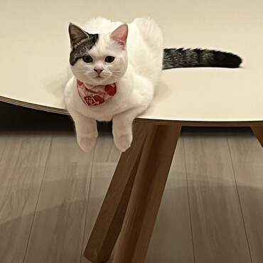 の写真