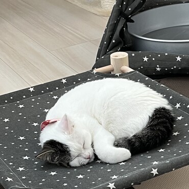 の写真