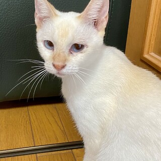 ロティ♡家族ができました