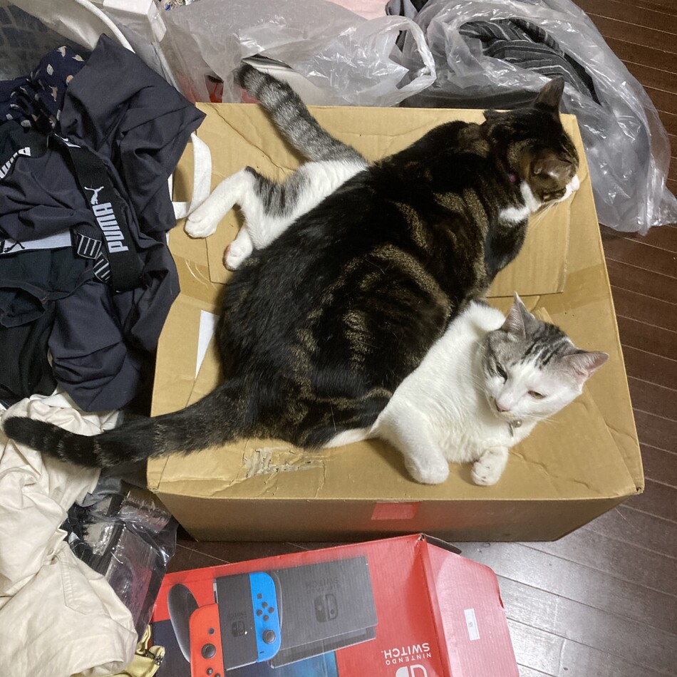 はなまるのカバー写真