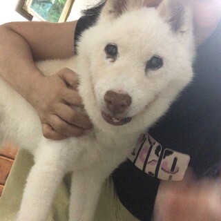 穏やかな　ほのかちゃん