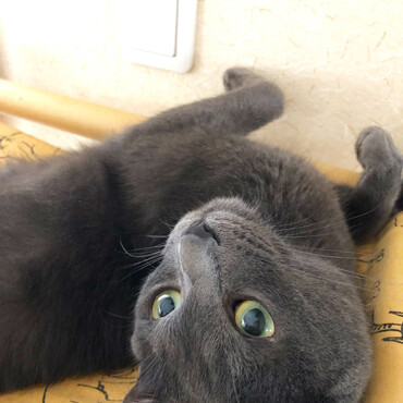 ３歳になりました！