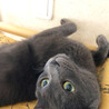 ３歳になりました！