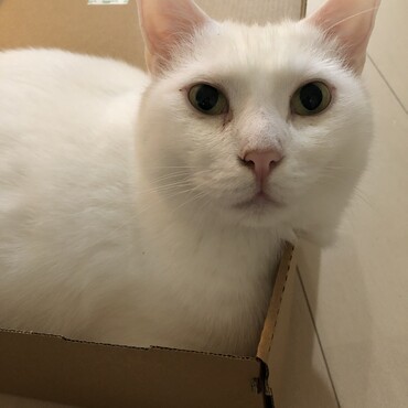 ６歳になりました！