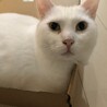 ６歳になりました！