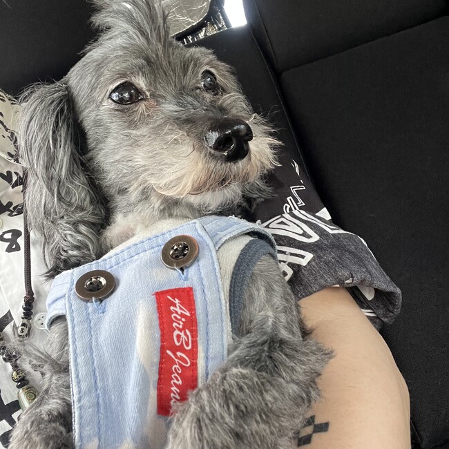 raty07037のカバー写真