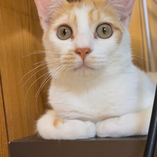 可愛い甘えん坊の男の子☆