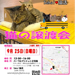 Sakai♥猫活　譲渡会